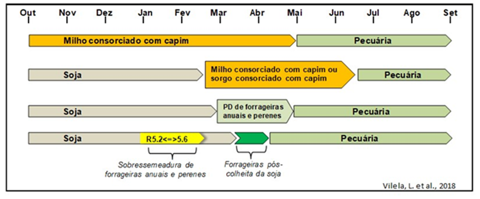 Alternativas potenciais de boi safrinha